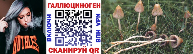 Псилоцибиновые грибы мицелий  Глазов 